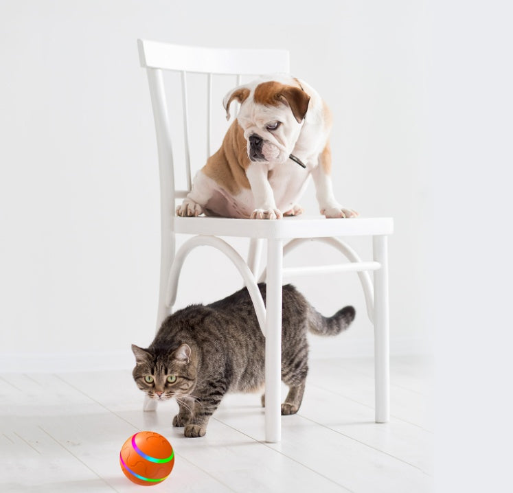 USB Rechargeable Self-Rotating Smart Cat Toy Ball